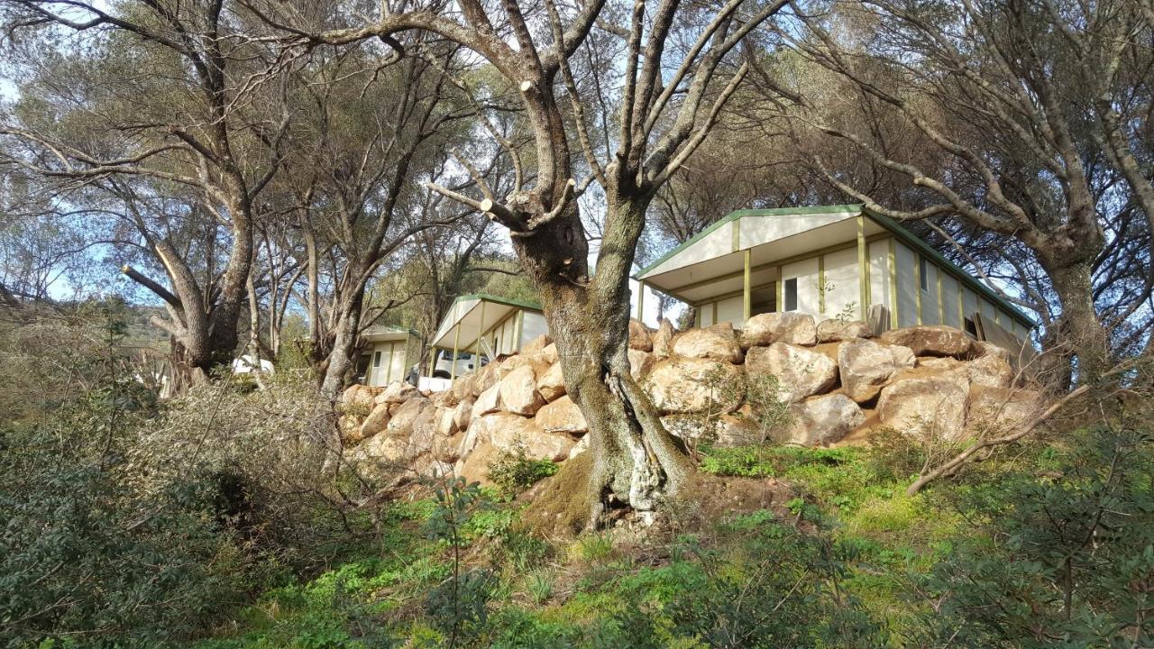 Residence A Tribbia Olmeto  Exterior foto